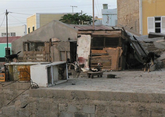 30- la bassecour sur un toit 